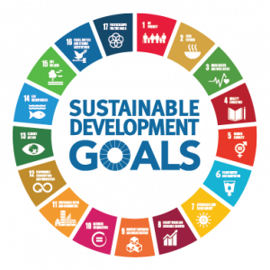 sdgs-desa